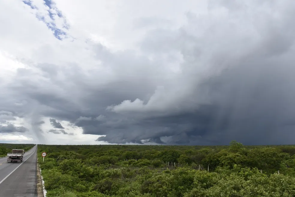 Chuvas nos três próximos meses devem superar média histórica do período ?- Foto: Emparn/Divulgação