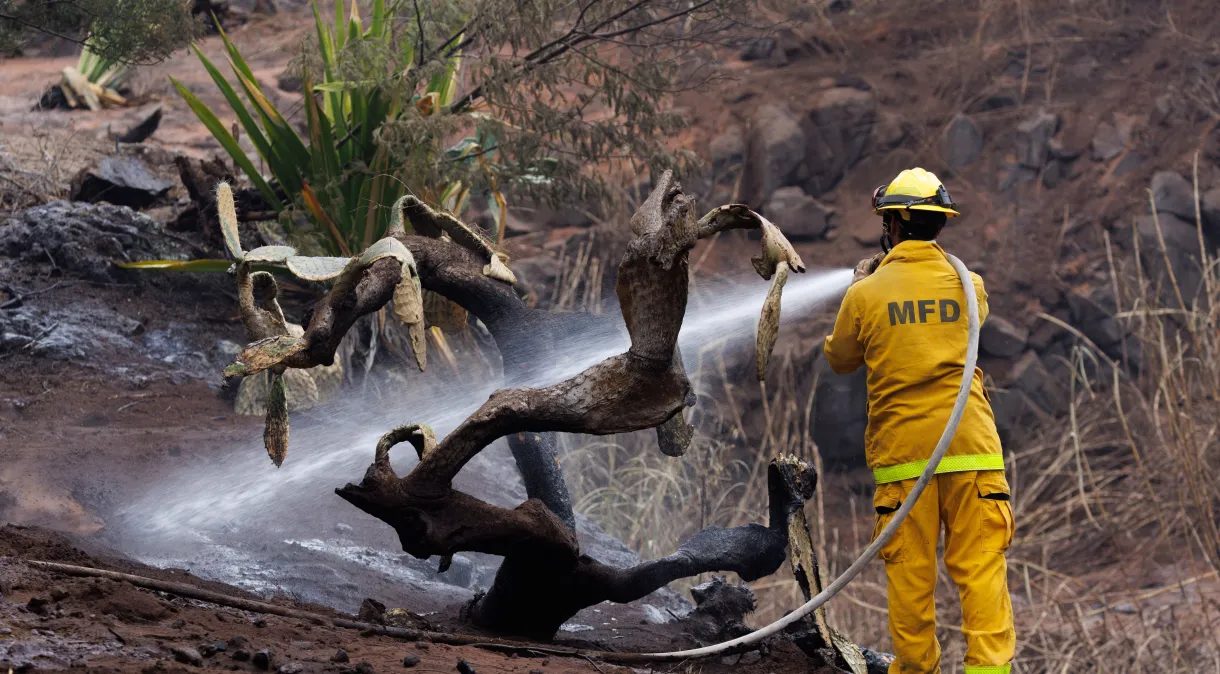 Incêndio que atingiu Maui, no Havaí, em agosto REUTERS/Mike Blake