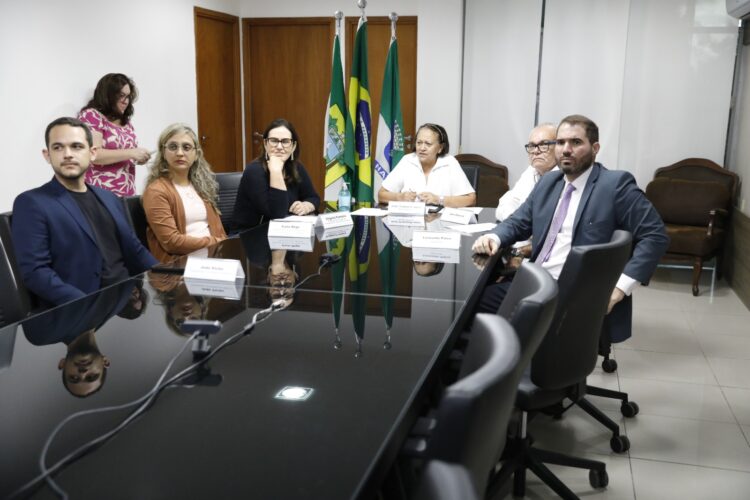 Governadora discutiu projeto em reunião on line (Foto: Sandro Menezes)