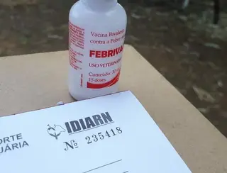 IDIARN antecipa a última campanha de vacinação contra Febre Aftosa do RN