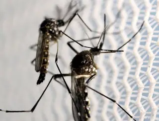 Sesap confirma primeira morte por dengue no RN em 2024