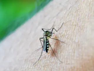 RN tem segundo menor número de mortes por dengue do Brasil