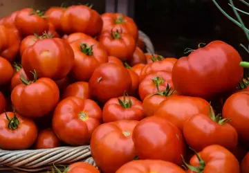 Tomate teve alta de 24,40% no preço ?- Foto: Josephine Baran / Unsplash