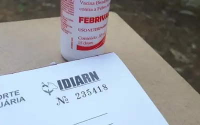 IDIARN antecipa a última campanha de vacinação contra Febre Aftosa do RN